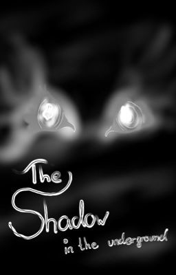 The Shadow in the underground 