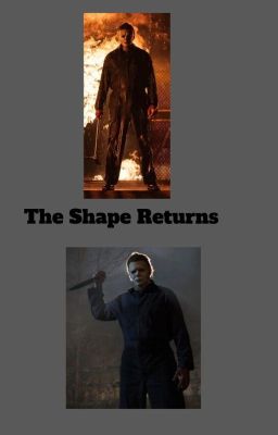 The Shape Returns