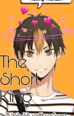 The Short King | Nishinoya X Reader