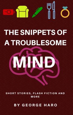 The Snippets of a Troublesome Mind