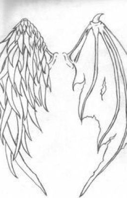 The son of an angel and a devil( High School DxD X Male nephilim reader)