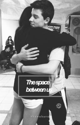 The Space Between Us || Shawn Mendes