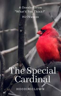 The Special Cardinal 