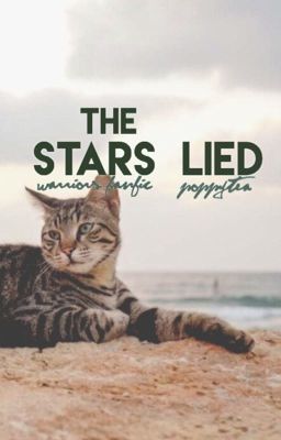 The Stars Lied ✩ warriors fanfiction ; complete