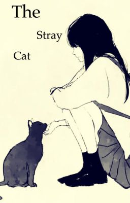 The Stray Cat {Neko x Reader} [DISCONTINUED] {NEW ACCOUNT}