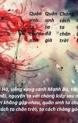 Thế thế luân hồi