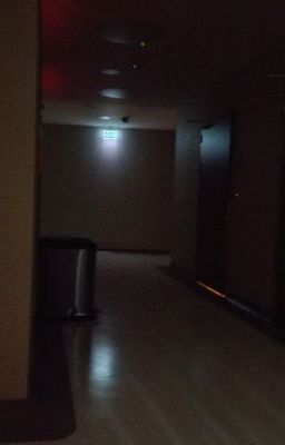 The Things That Stayed.