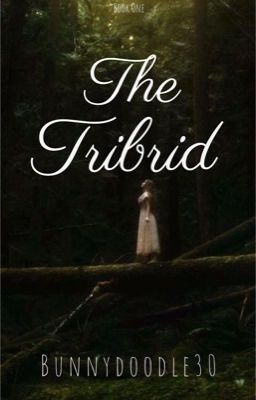 The Tribrid