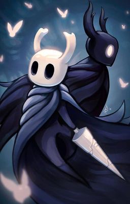 The truth hollow knight