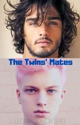 The Twins' Mates (Werewolf Story)