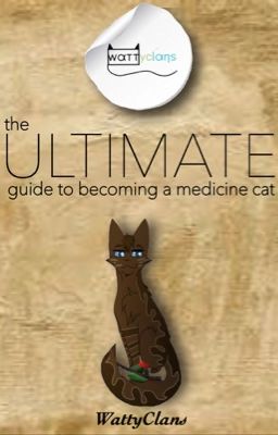 The Ultimate Guide to Becoming a Medicine Cat