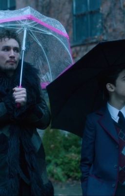 The Umbrella Academy - Preferencje (okładka w przygotowaniu)