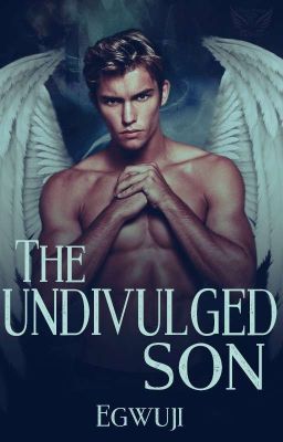 The Undivulged Son