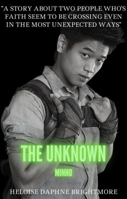 The Unknown [Minho x Reader] + gifs ✓