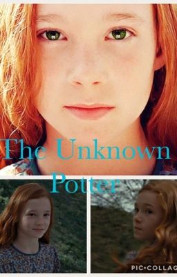 The unknown Potter