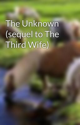 The Unknown (sequel to The Third Wife)