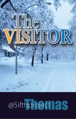 The Visitor