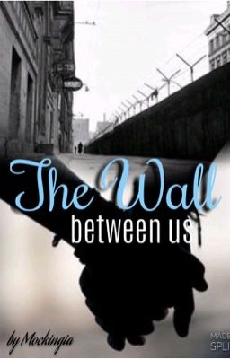 The wall between us