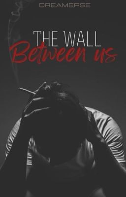 The Wall Between Us 