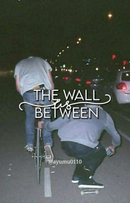 The Wall Between Us (Boboiboy Fanfiction)