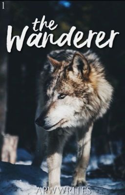 The Wanderer