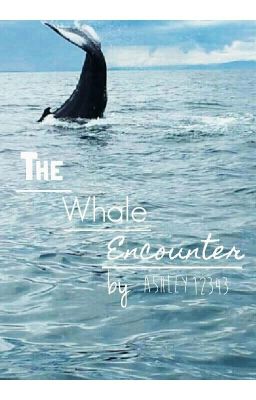 The Whale Encounter