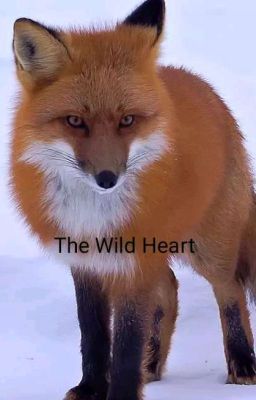 The Wild Heart (OLD)