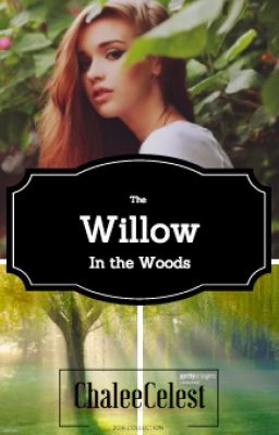 The Willow In The Woods - Currently On Hold