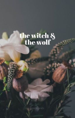 The Witch & The Wolf [REMOVED]