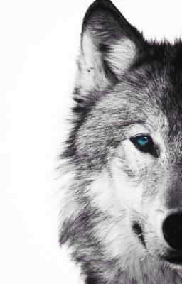 The wolf inside me