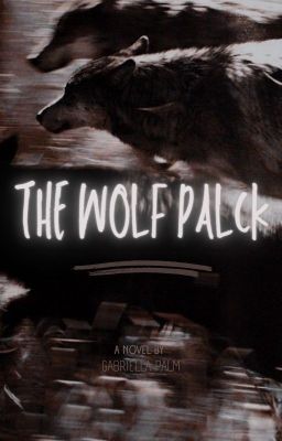 THE WOLF PACK, skz 9th memeber