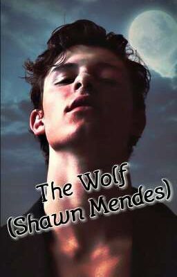 The Wolf (Shawn Mendes)