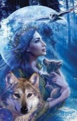 The Wolves of Artemis (Percy Jackson Fanfiction)