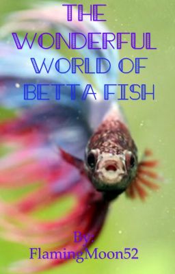 The Wonderful World of Betta Fish