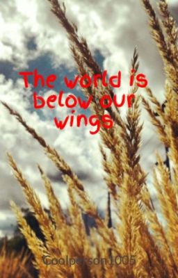 The world is below our wings