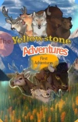 The Yellowstone adventures: First adventures