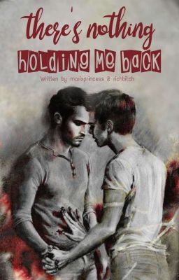 there's nothing holding me back » Sterek