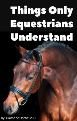 Things Only Equines Understand 