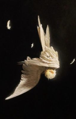 Thính | Marhoon