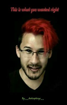 This is What You Wanted Right? [Darkiplier X Reader]