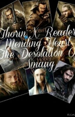 Thorin X Reader Mending Heart The Desolation Of Smaug COMPLETED✔️