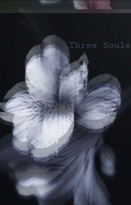 Three Souls ~ Hunter X Hunter Soulmate Book (On Going)