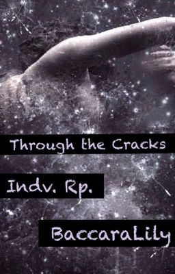 Through the Cracks ~ Indv. Rp.