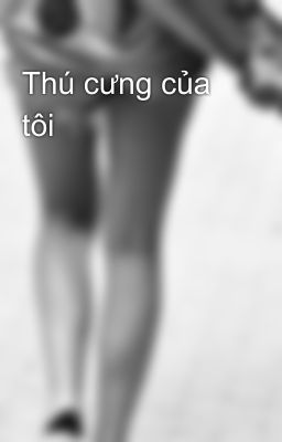 Thú cưng của tôi