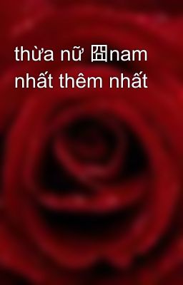 thừa nữ 囧nam nhất thêm nhất