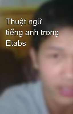 Thuật ngữ tiếng anh trong Etabs