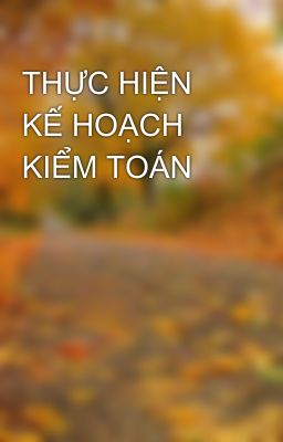 THỰC HIỆN KẾ HOẠCH KIỂM TOÁN