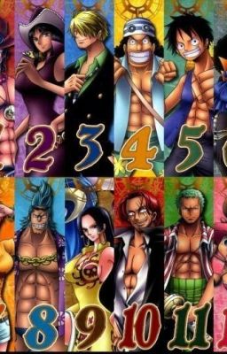 《 thượng kẻ trộm thuyền, sượng mặt (One Piece đồng nhân)》 