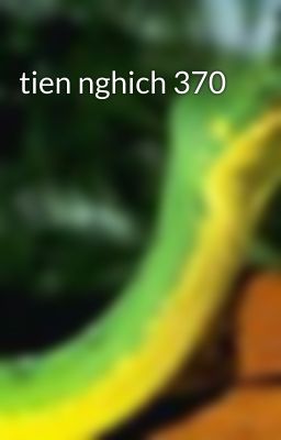 tien nghich 370