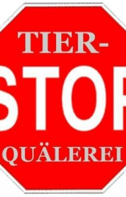 Tierquälerei - Stop it!